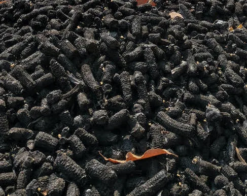 Biochar made from corn cobs