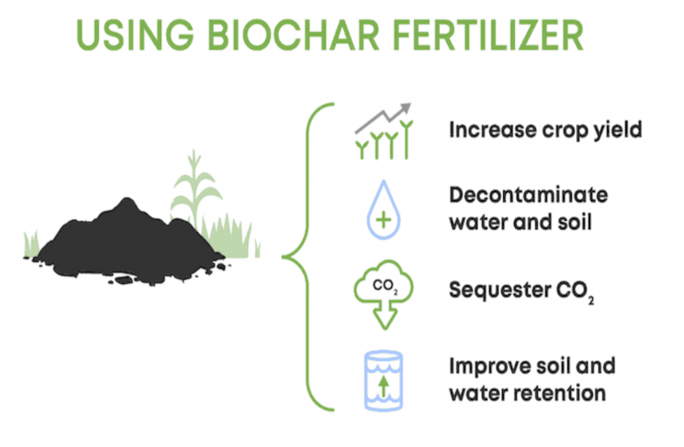 Using Biochar Fertilizer